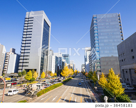 名古屋市 丸の内 都市風景 日銀前交差点 桜通りの銀杏並木と高層ビル群 名古屋市 丸の内 都市風景 日銀前交差点 桜通りの銀杏並木と高層ビル群 36458183