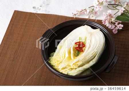 kimchi, which is a globally recognized healthful food 165 kimchi, which is a globally recognized healthful food 165 36459614