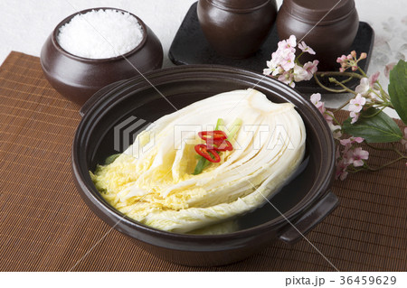 kimchi, which is a globally recognized healthful food 173 kimchi, which is a globally recognized healthful food 173 36459629