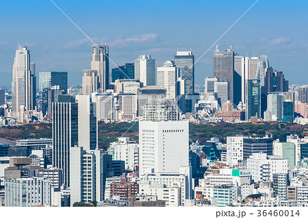 新宿副都心 摩天楼 新宿副都心 摩天楼 36460014