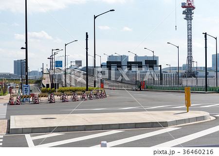 環状2号線豊洲大橋(未開通) 環状2号線豊洲大橋(未開通) 36460216