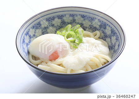 とろ玉うどん 讃岐 とろ玉うどん 讃岐 36460247