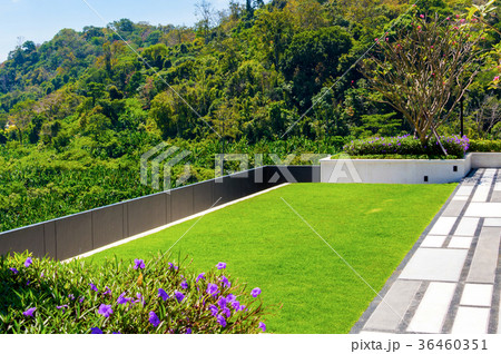 sky garden on rooftop of condominium with blue sky sky garden on rooftop of condominium with blue sky 36460351