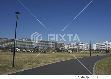 浦安市 12月 浦安市 12月 36460527