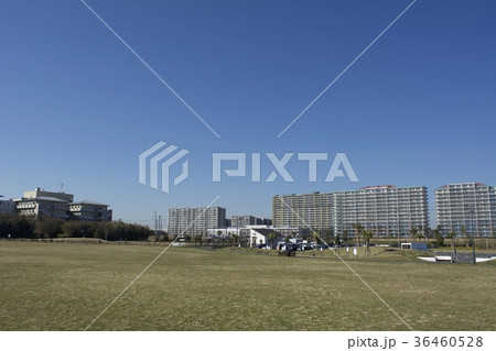浦安市 12月 36460528