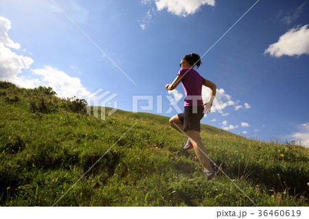 woman trail runner running on mountain trail woman trail runner running on mountain trail 36460619