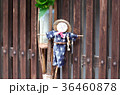 妻籠宿：かかしの置物 36460878