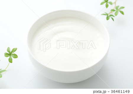 ヨーグルト ヨーグルト 36461149