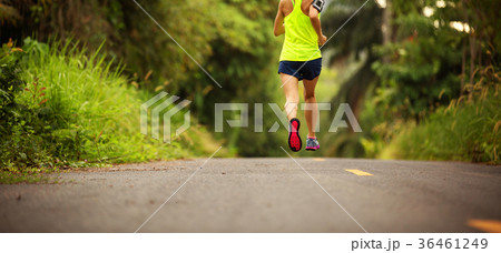 young fitness woman runner running on forest trail young fitness woman runner running on forest trail 36461249