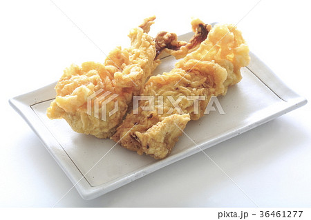 かしわ天 とり天 鶏むね肉の天ぷら かしわ天 とり天 鶏むね肉の天ぷら 36461277