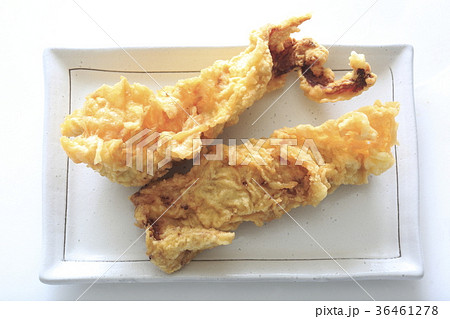 かしわ天 とり天 鶏むね肉の天ぷら かしわ天 とり天 鶏むね肉の天ぷら 36461278