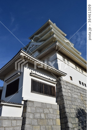 豊田城 常総市地域交流センター 豊田城 常総市地域交流センター 36461309