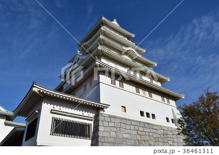 豊田城 常総市地域交流センター 豊田城 常総市地域交流センター 36461311