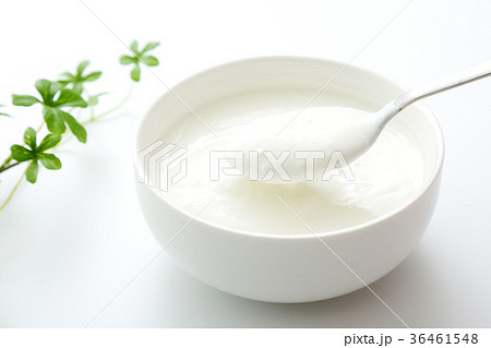 ヨーグルト ヨーグルト 36461548