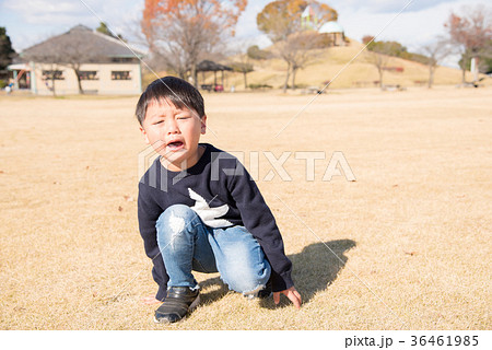 公園で泣いている男の子 公園で泣いている男の子 36461985