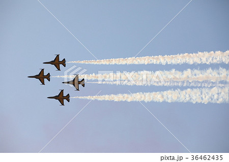 ブラックイーグル 飛行 飛行機 36462435