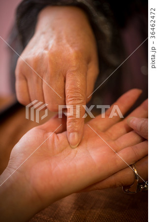 占い師　手相　運勢　運命 36462472