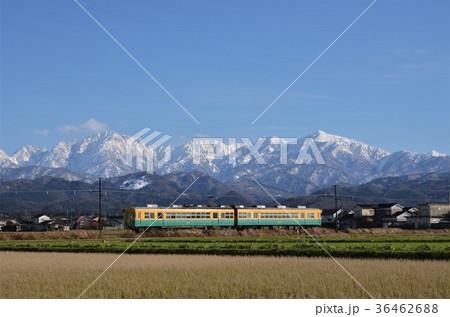 雪の立山連峰を背景に走る地鉄電車 雪の立山連峰を背景に走る地鉄電車 36462688