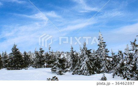 Snowy Czech peak of the mountain 36462897