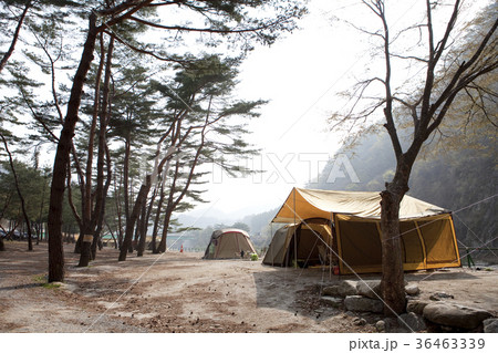レジャー 屋外 室外 36463339
