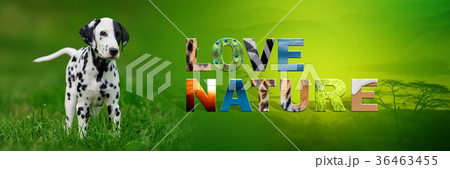 Dog with text Love Nature 36463455