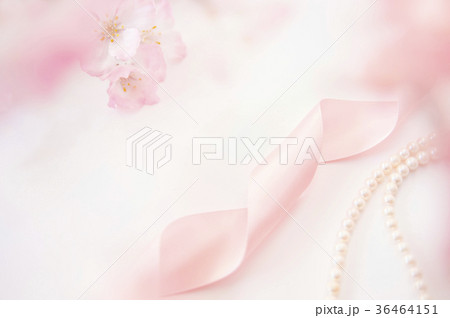 リボン 花 真珠(ソフトフォーカス) リボン 花 真珠(ソフトフォーカス) 36464151