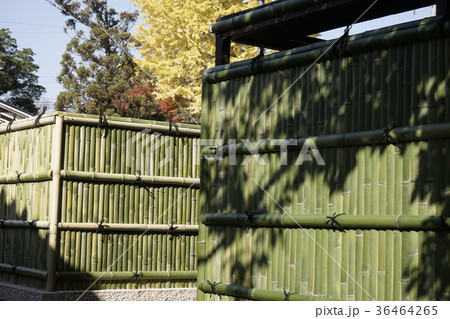 青竹作り かこい塀 青竹作り かこい塀 36464265