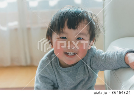 2 years old 36464324