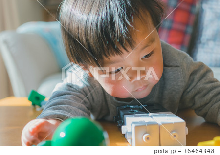 2 years old 2 years old 36464348