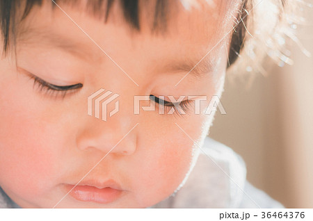 2 years old 2 years old 36464376