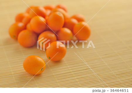 キンカン 36464651