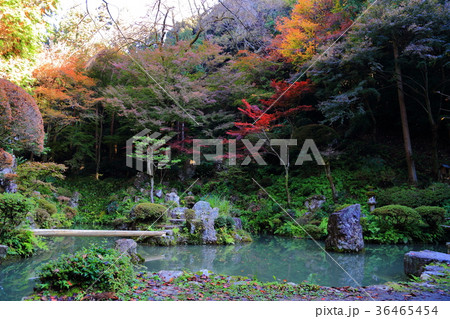 紅葉の内々神社 36465454