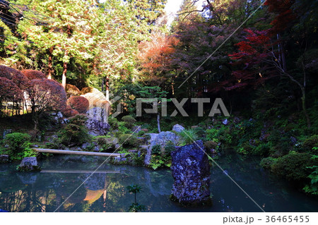 紅葉の内々神社 36465455