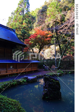 紅葉の内々神社 紅葉の内々神社 36465456