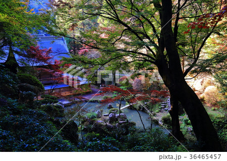 紅葉の内々神社 36465457