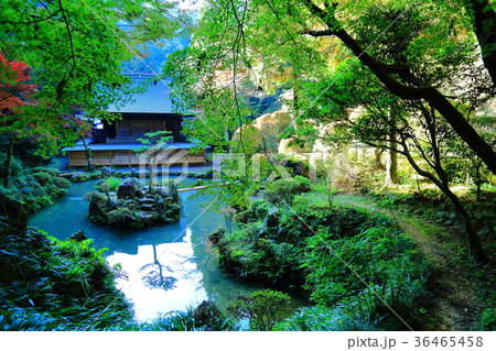 紅葉の内々神社 36465458