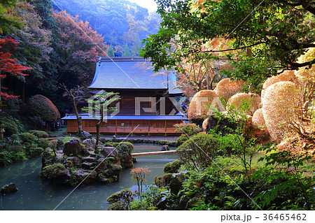 紅葉の内々神社 36465462