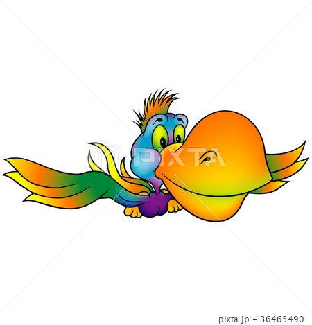 Colorful Parrot Flying 36465490
