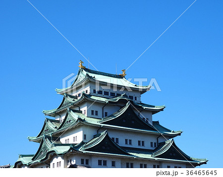 晩秋の名古屋城 36465645