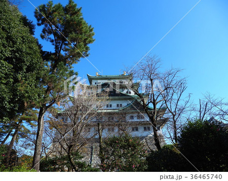 初冬の名古屋城 初冬の名古屋城 36465740