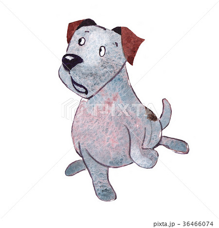 JackRussel terrier dog puppy hand drawing JackRussel terrier dog puppy hand drawing 36466074