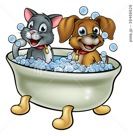 Cartoon Cat And Dog In Bathのイラスト素材