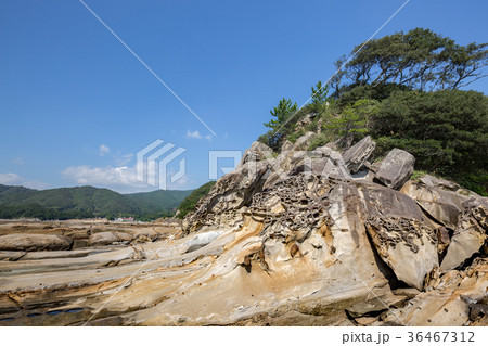 竜串海岸 36467312