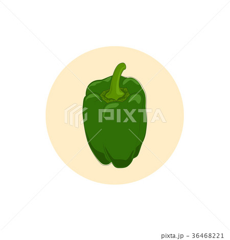 Icon green bell pepper,sweet pepper or capsicum Icon green bell pepper,sweet pepper or capsicum 36468221
