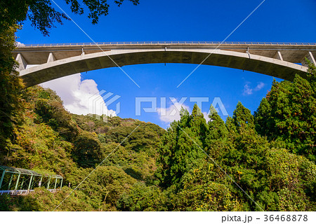 静岡県 須津川渓谷の紅葉 須津渓谷橋の写真素材