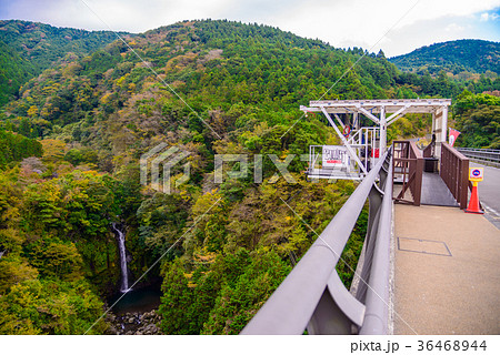 静岡県 須津川渓谷紅葉 須津渓谷橋のバンジージャンプ台の写真素材