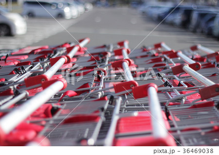 コストコ浜松カート 36469038