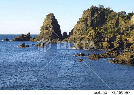 越前岬の岩礁 越前岬の岩礁 36469068
