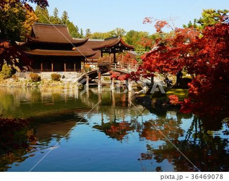秋の虎渓山永保寺 36469078