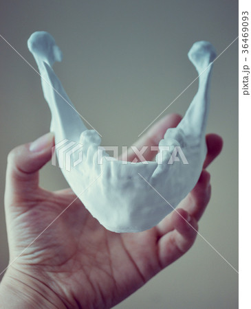 A girl holds a mandible printed on a 3d printer on A girl holds a mandible printed on a 3d printer on 36469093